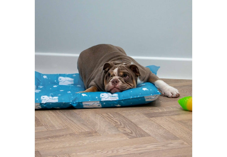 Ancol Icy Paws Cooling Beds