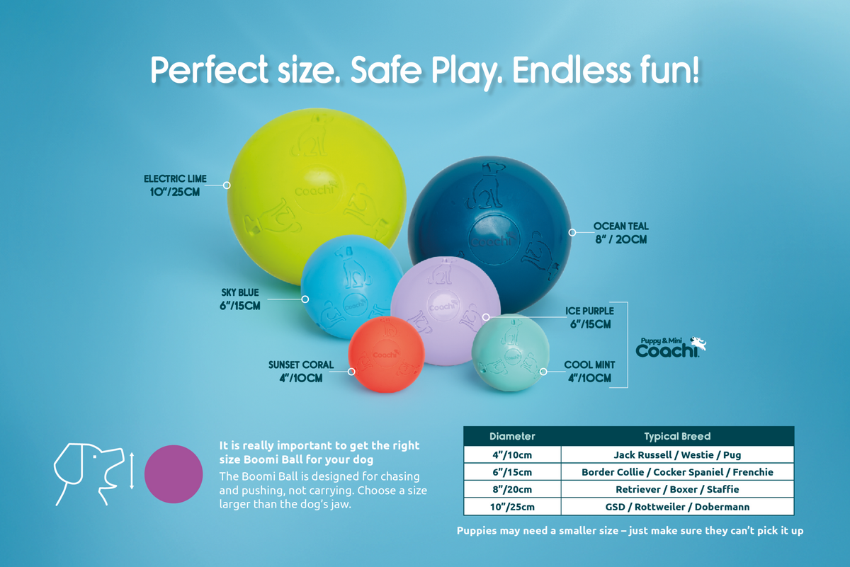 Boomi Ball Dog Toy
