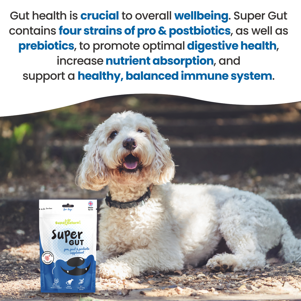 Supernature Super Gut for Dogs