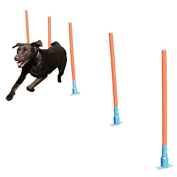 Dog Agility Slalom with Bag