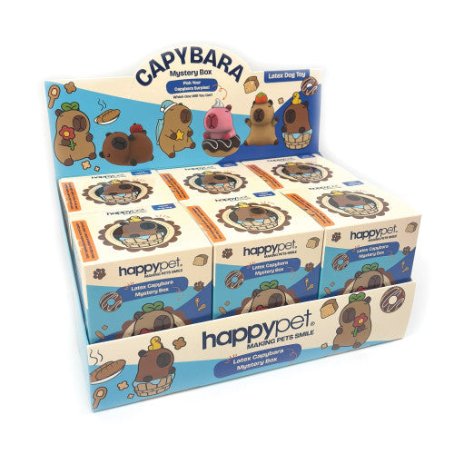 Corby Capybara Latex Dog Toy Mystery Box