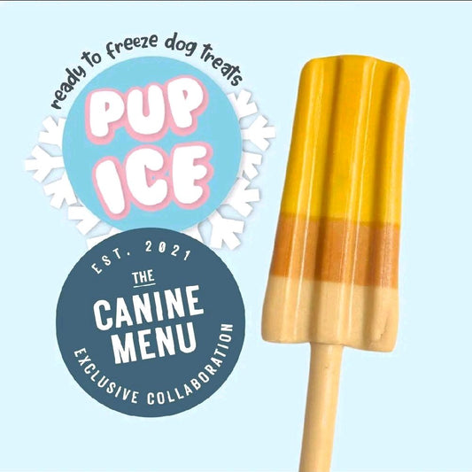 Pup Ice Ready to Freeze Dog Treat