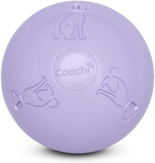 Boomi Ball Dog Toy