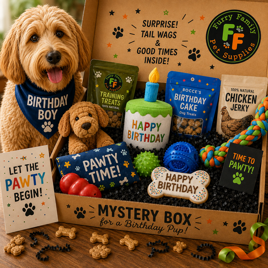 Dog Birthday Mystery Box Boy Edition