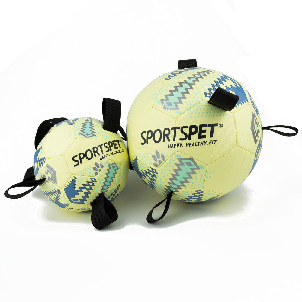 Dog Toy Sports Pet Tab Footballs