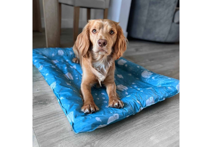 Ancol Icy Paws Cooling Beds