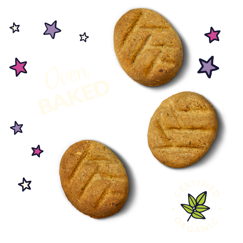 Lily's Kitchen Organic Bedtime Biscuits 80g