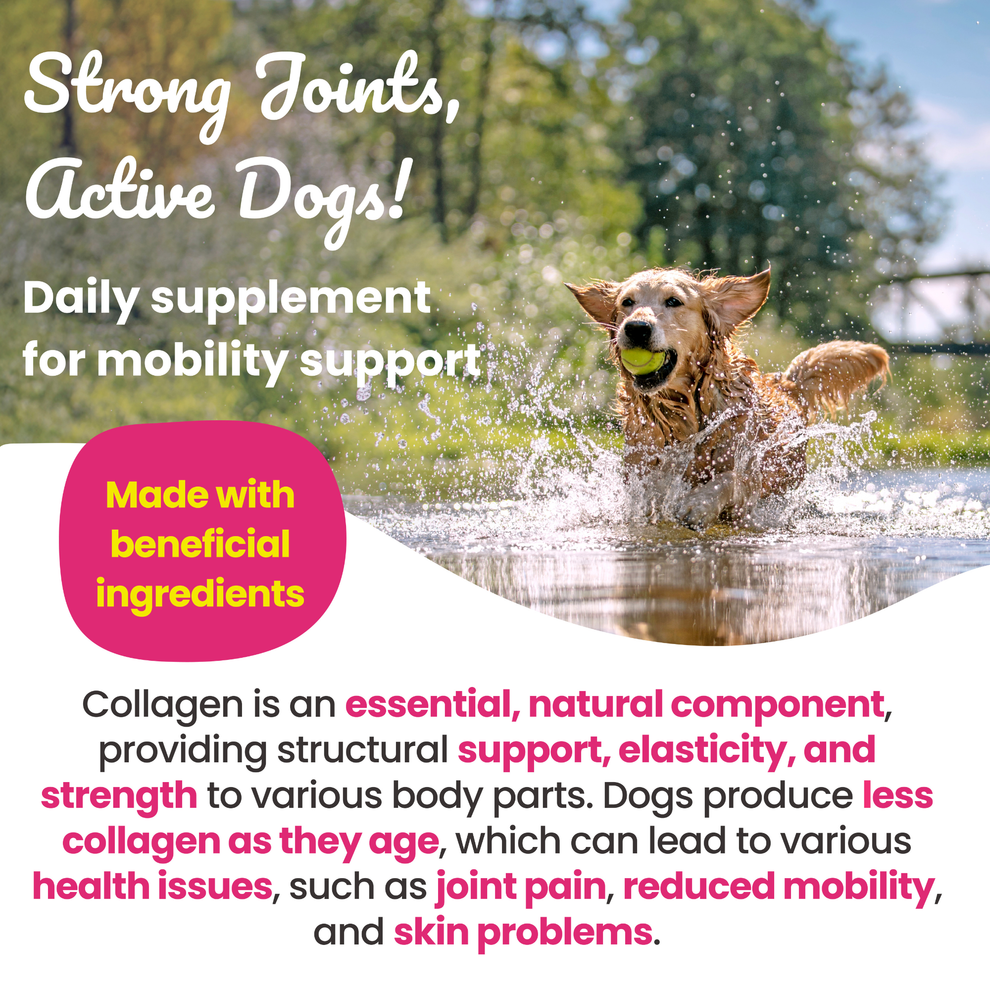 Supernature Super Collagen for Dogs 150g