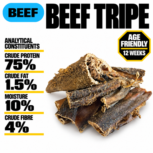 Beef Tripe