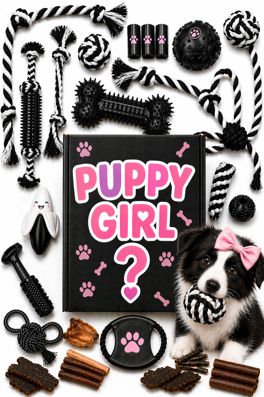 PUPPY GIRL MYSTERY BOX