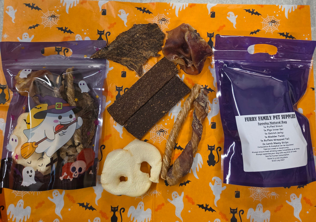 Halloween Dog Treat Bag