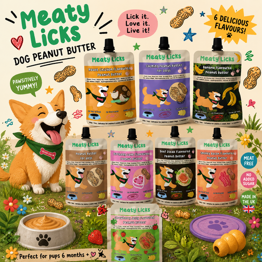 Meaty Licks Flavoured Peanut Butter for Dogs