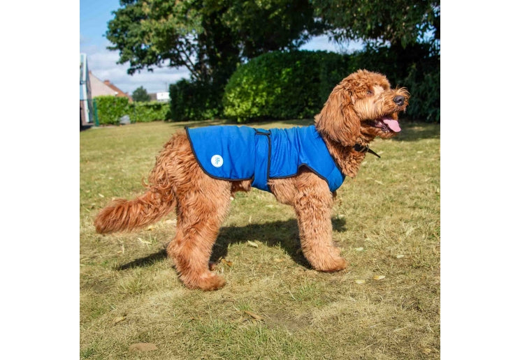 Ancol Dog Cooling Coats