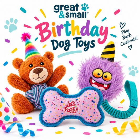 Great & Small Birthday Dog Toys