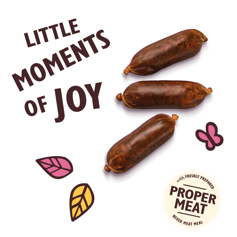 Lily's Kitchen Scrumptious Duck with Venison Sausages 70g