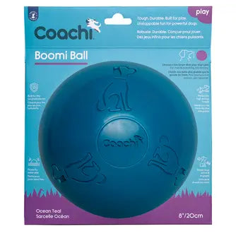 Boomi Ball Dog Toy
