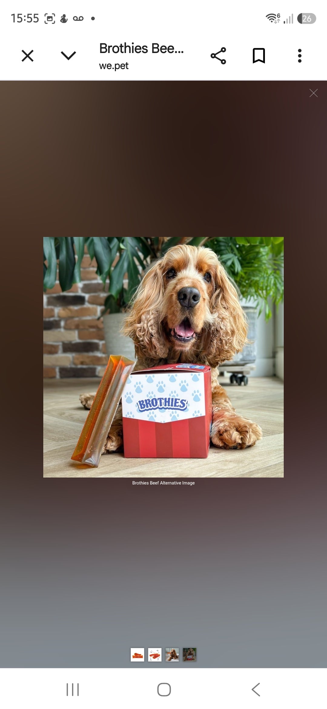 Brothies Dog Chews