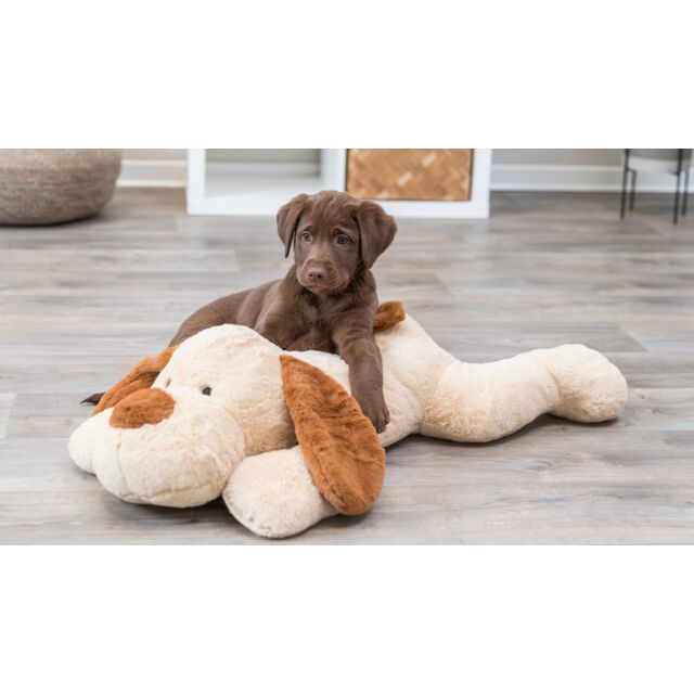 LAUNCHING SOON! Trixie Cuddle Dog Benny 75cm