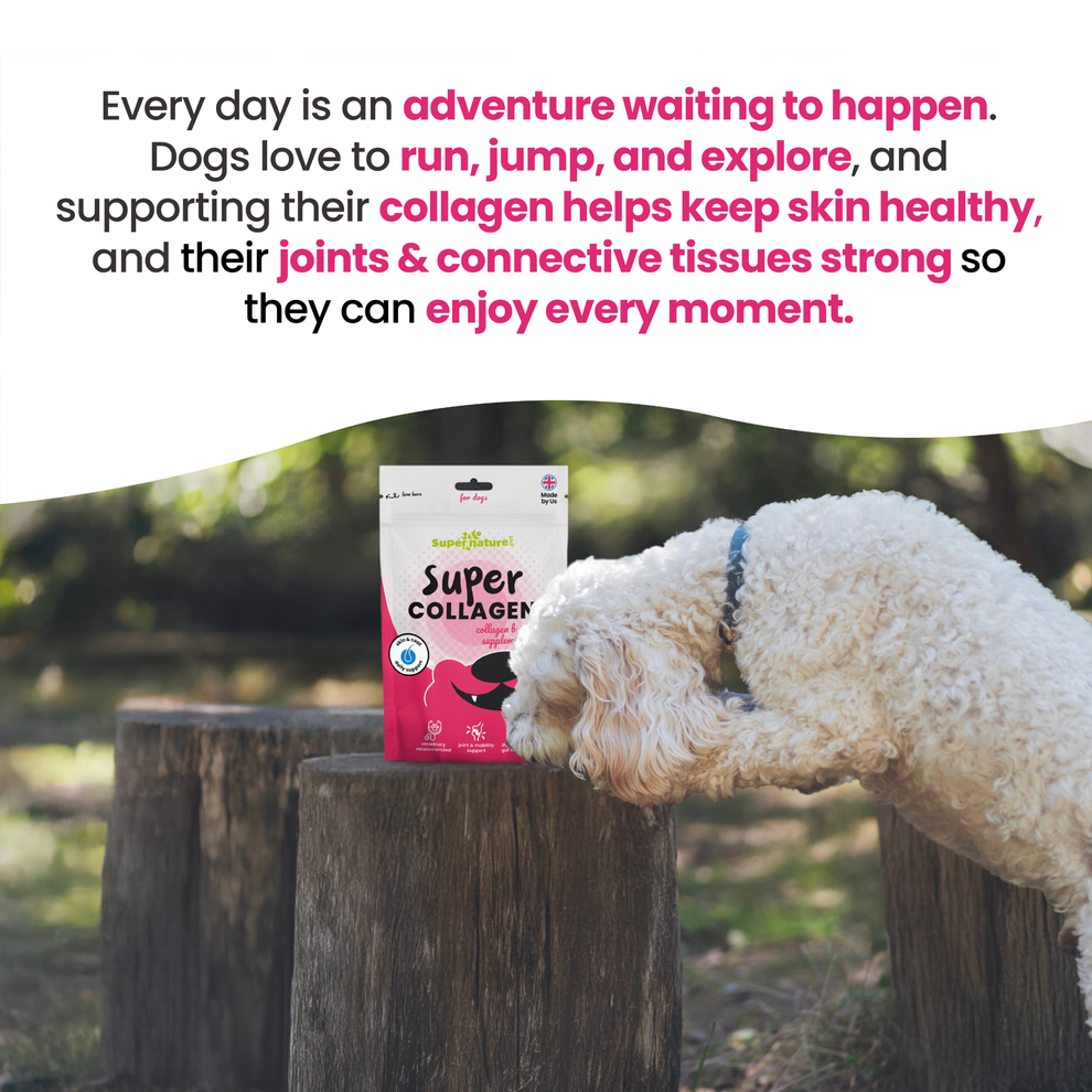 Supernature Super Collagen for Dogs 150g