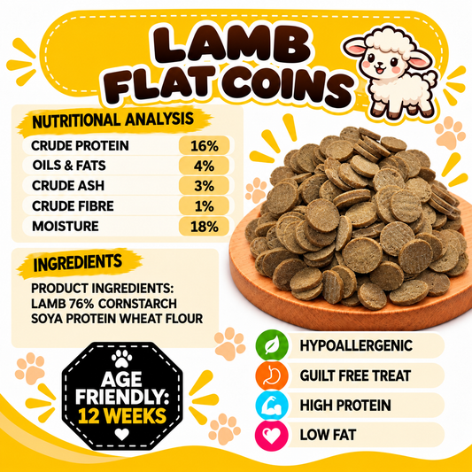 Lamb Coins Dog Treats