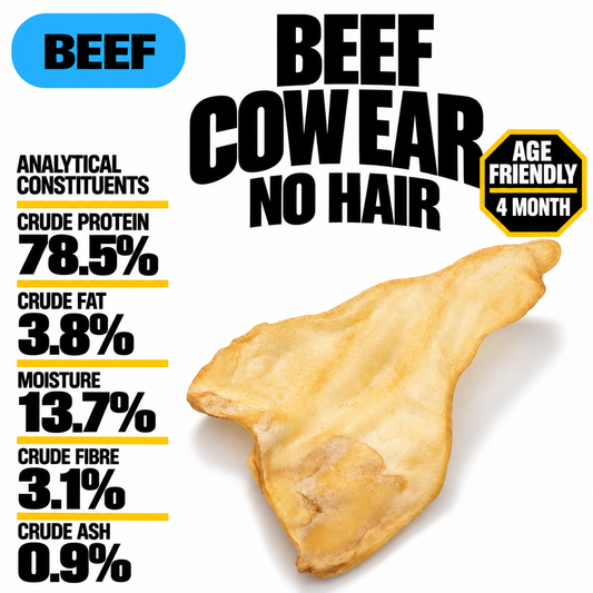 Cows Ear No Hair (Single)