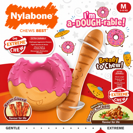 Dog Toy Nylabone Assorted Nylon Chew Toy