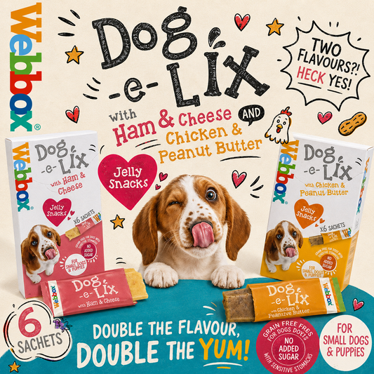 Webbox Dog e Lix