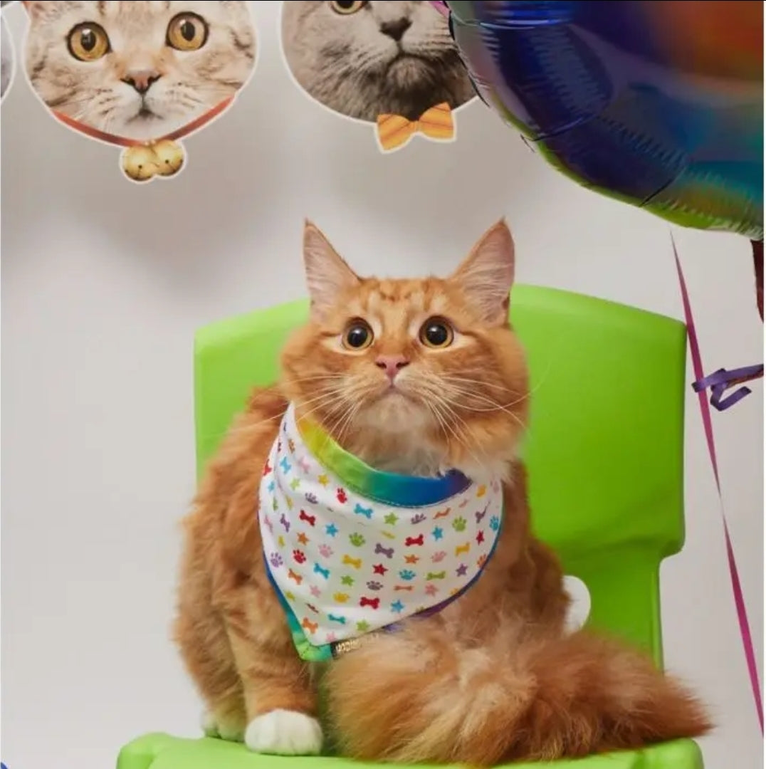 Pet London Dog / Cat Birthday Bandanas