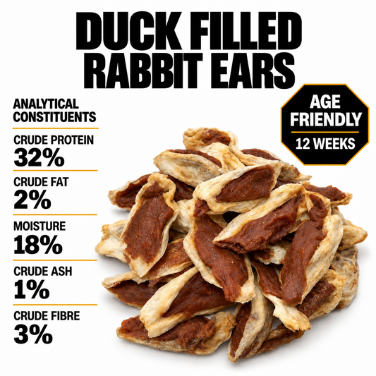 Duck filled Rabbit Ears