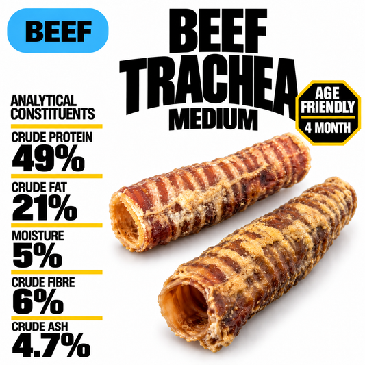 Beef Trachea Medium (single)