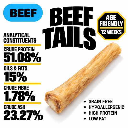 Beef Tail (Single)