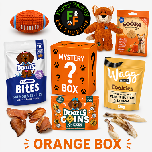 ORANGE MYSTERY BOX FOR DOGS