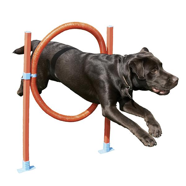 Dog Agility Hoop Jump with Bag