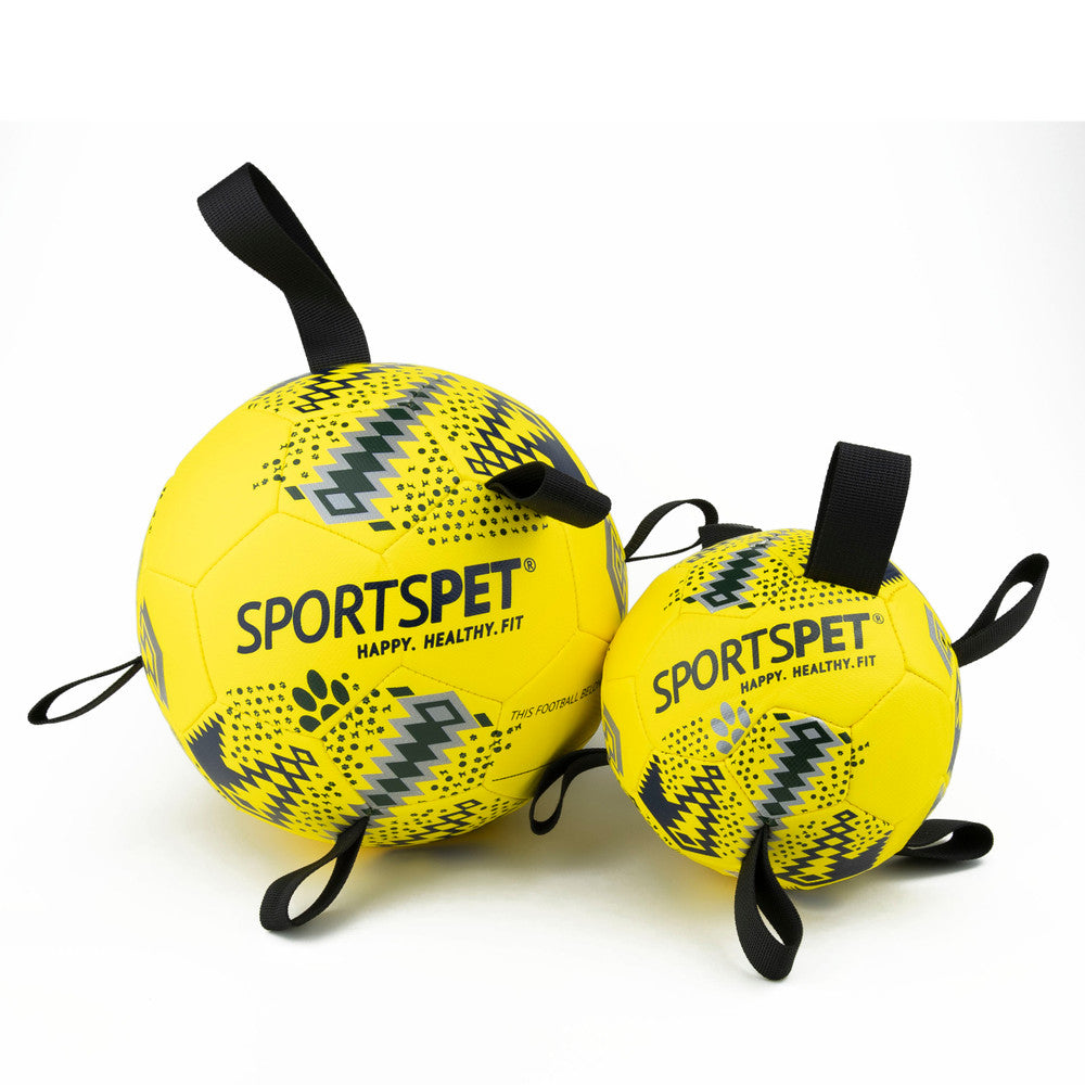 Dog Toy Sports Pet Tab Footballs