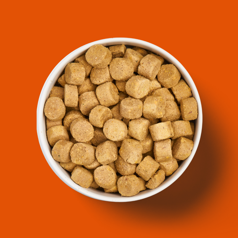 Nutriment Freeze Dried Dog Food 225g