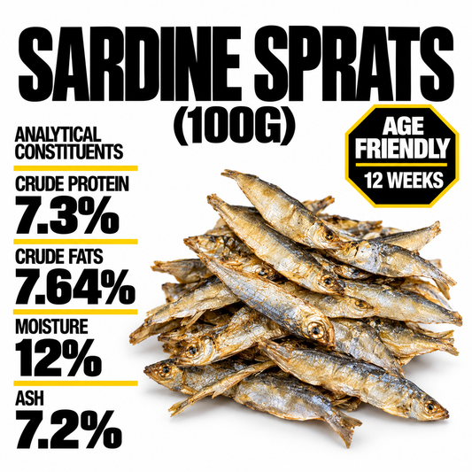 Sardine Sprats (100g)