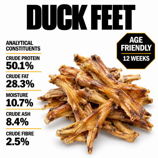 Duck Feet