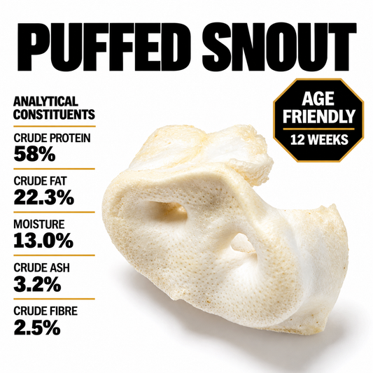 Puffed Snout (Single)