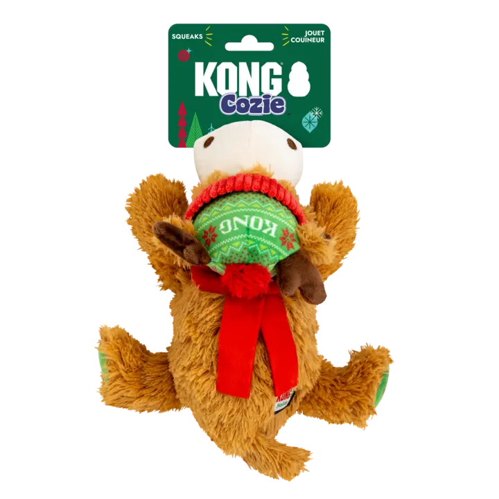 LAUNCHING SOON! Kong Christmas Dog Toys