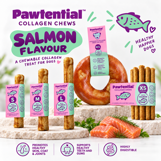 Pawtential Collagen Chew Salmon Flavour