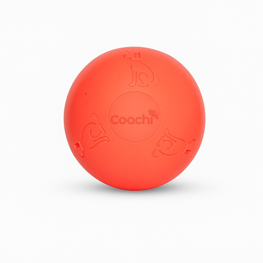 Boomi Ball Dog Toy