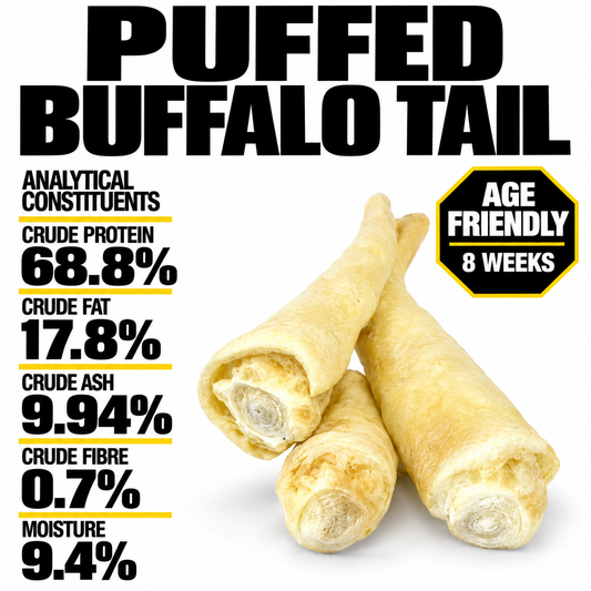 Buffalo Puffed Tail (single)