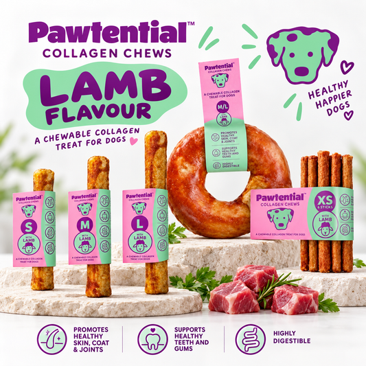 Pawtential Collagen Chew Lamb Flavour Dog Treat