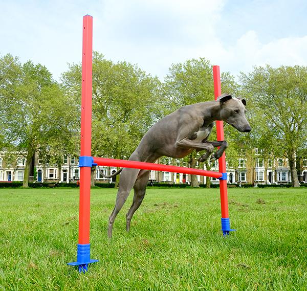 Dog Agility Hurdle with Bag