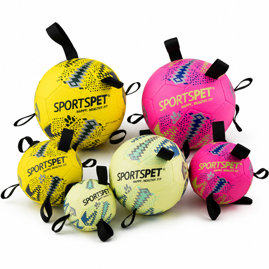 Dog Toy Sports Pet Tab Footballs