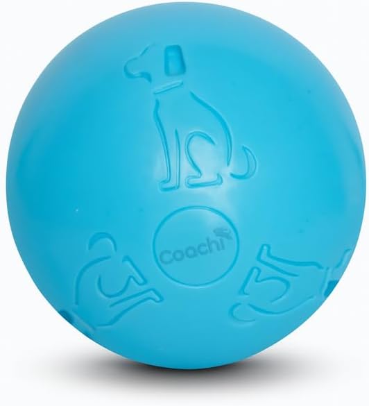 Boomi Ball Dog Toy