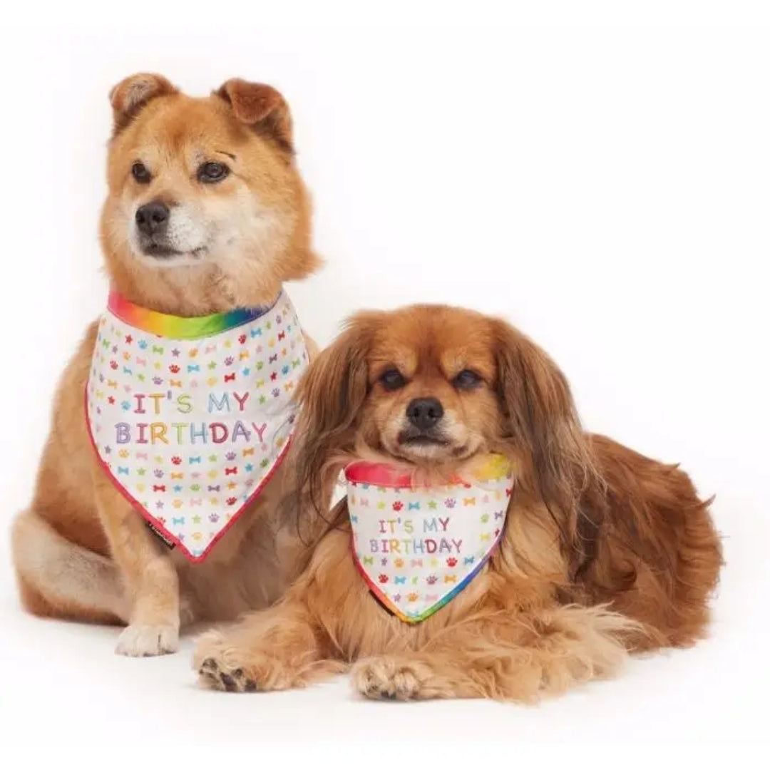 Pet London Dog / Cat Birthday Bandanas