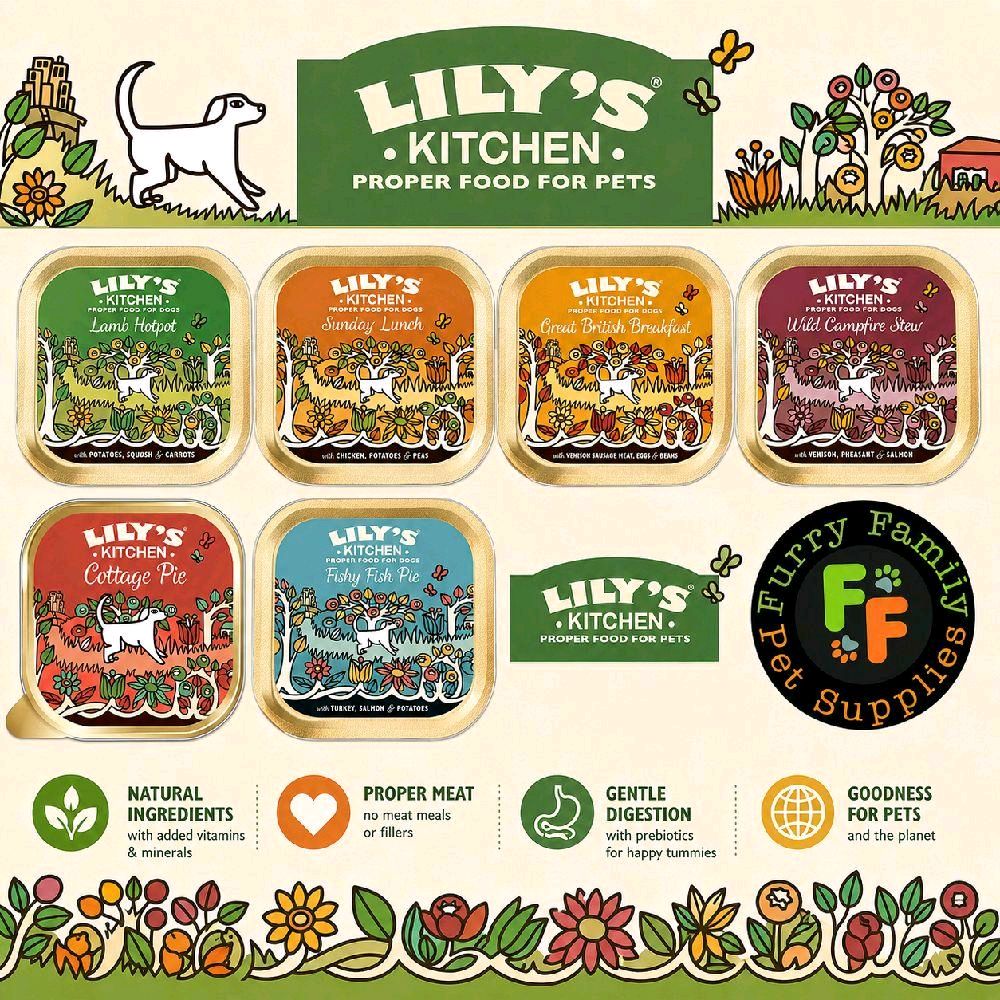 Lilys Kitchen Dog Food Tray 170g